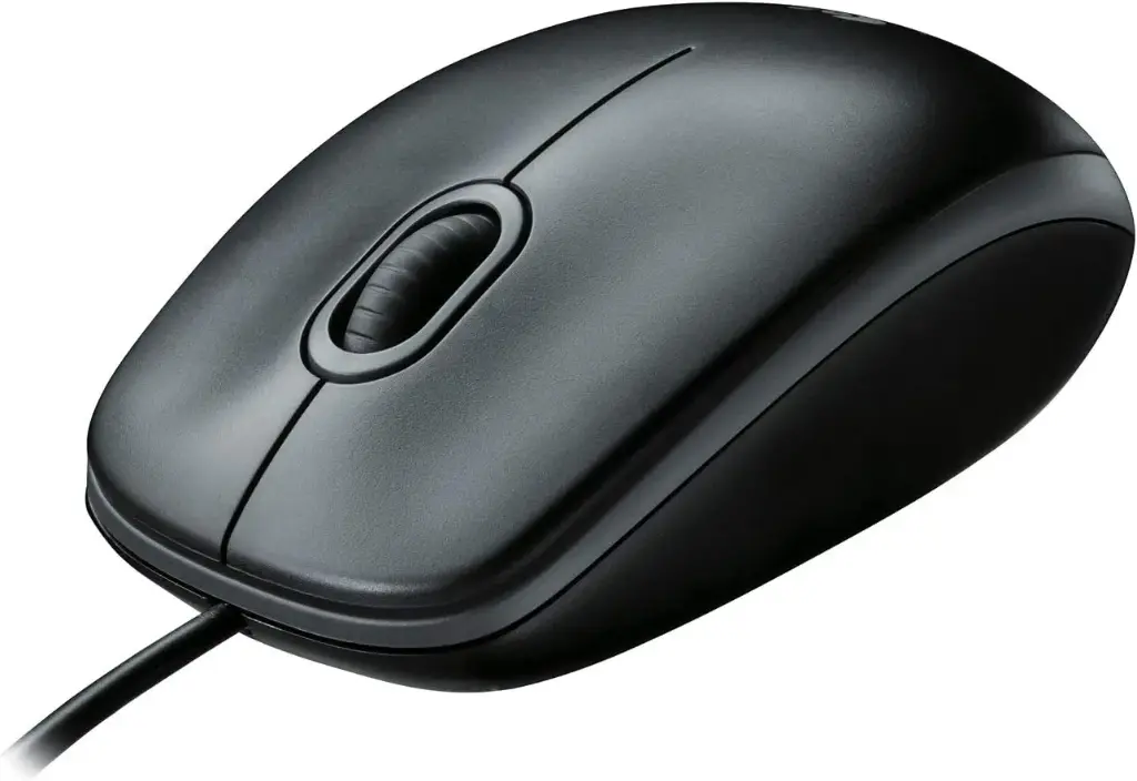 RATON CABLE